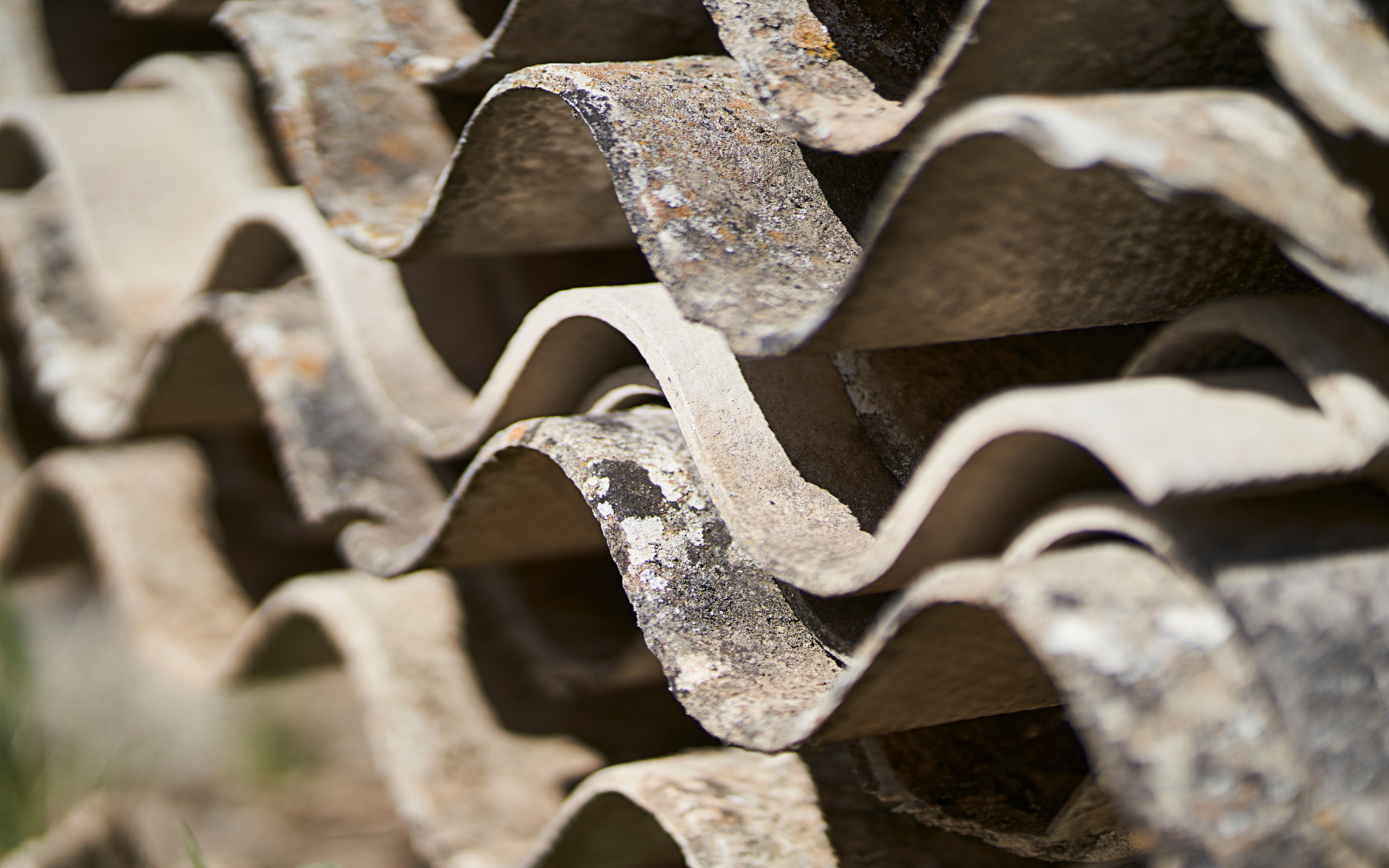 Asbestos Management